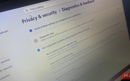 I finally fixed my RAM spikes by disabling this useless Windows 11 service