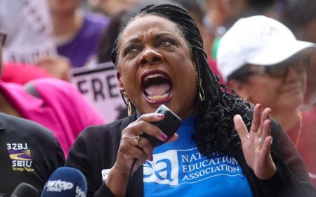 Top teachers union under fire as lawmakers push to strip union of unique federal charter: 'Lost their way'