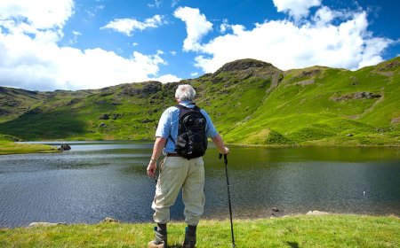 UK govt-backed review says Britain’s national parks feel ‘white’ and unwelcoming