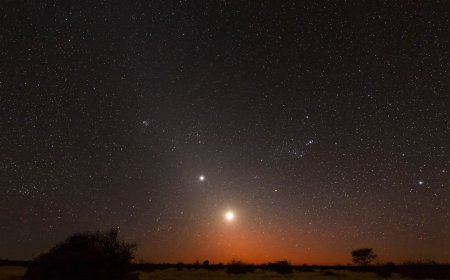 February's 'rare planetary alignment' is coming — here's what to expect from the planet parade