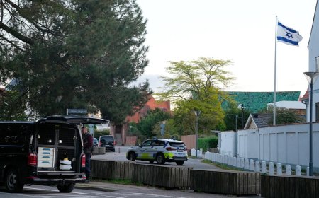 Two convicted of terrorism in Denmark for grenade attack near Israeli Embassy