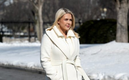 Leavitt scorches ‘elitist’ celebrities slamming ICE from 'gated' mansions