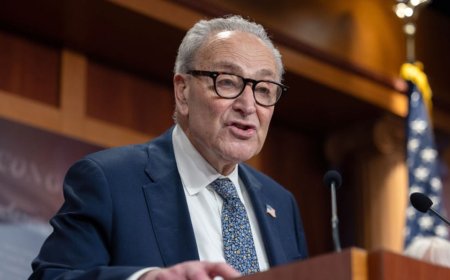 Schumer faces backlash after calling SAVE Act 'Jim Crow' despite previous allegation falling flat