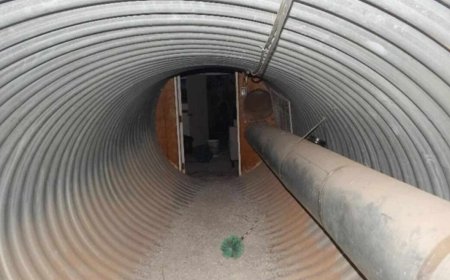 A 30-meter tunnel and bunker containing rifles, shotguns, and 10,000 rounds of ammunition were discovered under a house in California: no one could have imagined what this place was hiding