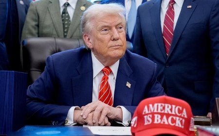 Mike Johnson backs ‘America Is Back!’ message as Trump debuts new hat design