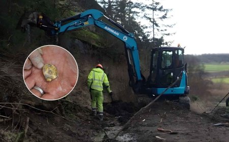 A metal detectorist heard a beep in a plowed field and walked up a hillside in ancient Norway and found seven gold medallions buried and abandoned in the 6th century