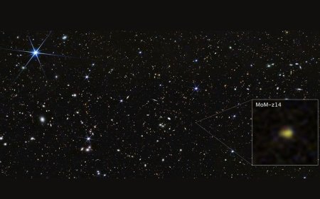 James Webb Space Telescope finds most distant galaxy ever detected: 'It looks nothing like what we predicted'