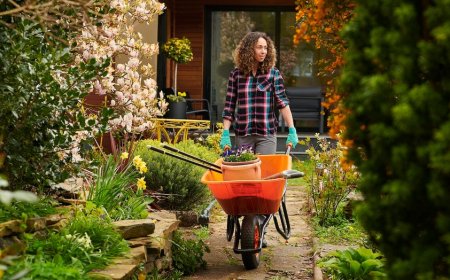 19 lawn and garden products worth buying before spring hits