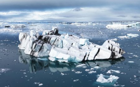 The Arctic is melting, something frozen for 30,000 years has come “back to life” — and scientists are now watching closely