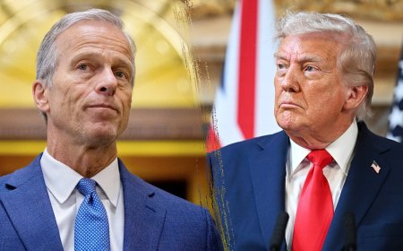 Republicans, Trump run into Senate roadblock on voter ID bill