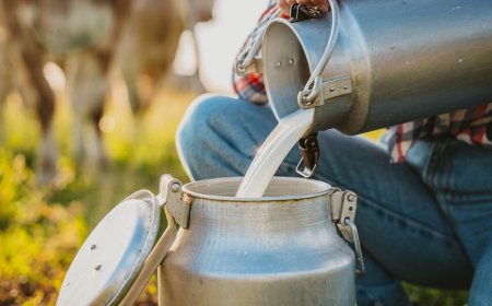 New Mexico newborn dies from Listeria infection after mother drank raw milk while pregnant: state officials