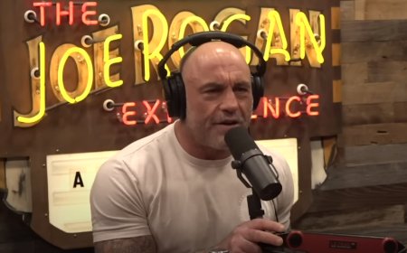Joe Rogan says UK has ‘lost it’ over stat showing that 12,000 people were arrested for social media posts