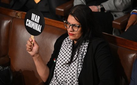 Watchdog releases scathing report on Tlaib's alleged ties to terrorist groups warning of 'potential risks'