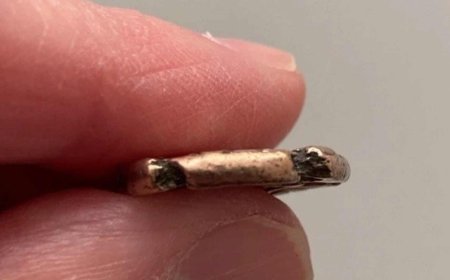 A metal detectorist found two gold coins in a quiet field in Anglesey, returned another day and then another, until the field began to tell a story that no one in Wales had seen before