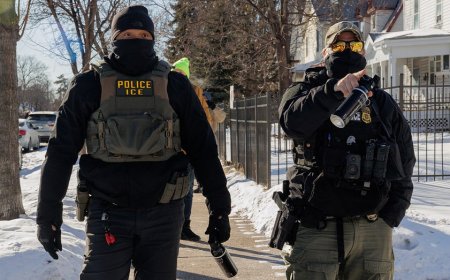 DHS lashes out at NY Times after report claiming pregnant women in Minneapolis 'hiding from ICE'