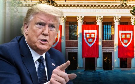 Fox News ‘Antisemitism Exposed’ Newsletter: Trump tells Harvard, 'Show me the money'