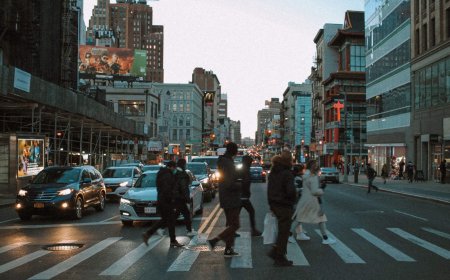 New law will hit drivers and pedestrians with $1,000 fines for misusing crosswalks