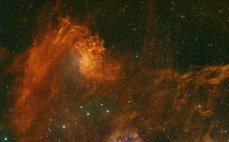 Astrophotographer captures the 'Flaming Star Nebula' ablaze in deep-space (photo)