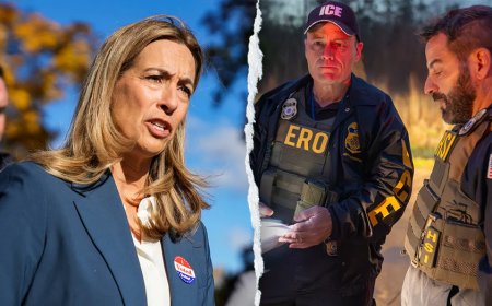 White House slams Democrat governor for urging public to track ICE agents with new video portal