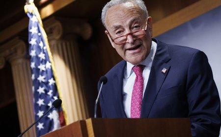 Chuck Schumer under fire after brazenly calling voter ID 'Jim Crow 2.0'