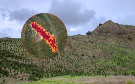 Methane is out of control… but this strategy involving temporary CO2 capture could slow down its climate impact