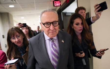 Republicans warn Democrats' ICE reform push is cover to defund border enforcement