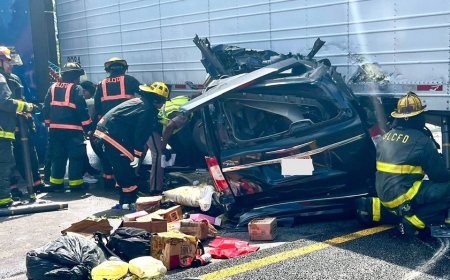 DOT crackdown pulls hundreds of English-illiterate, illegal immigrant truckers off roads as crashes mount