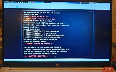 I broke my Linux system on purpose and recovered it without reinstalling