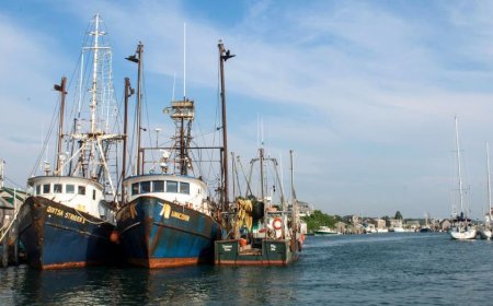 Trump vows to ‘unleash’ commercial fishing off New England, reversing Obama-era Atlantic restrictions
