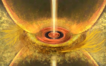 New images capture “footprints” of baby planets around newborn stars, which could be forming in just hundreds of thousands of years