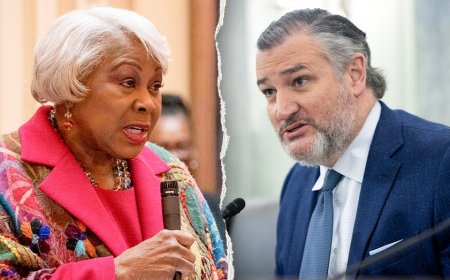 Virginia Democrat gives profanity-laced response to Cruz's criticism of the state's redistricting push