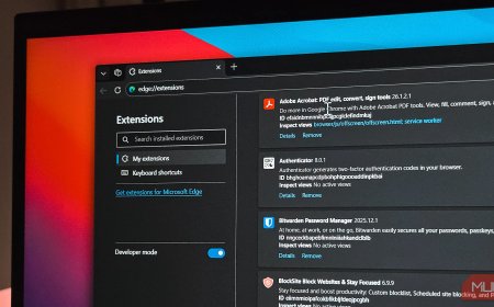 Your browser extensions can see every password you type