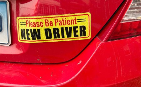 Florida driver's license tests now only given in English