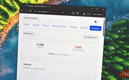 This is the best DNS I've used—and it's not because it's fast