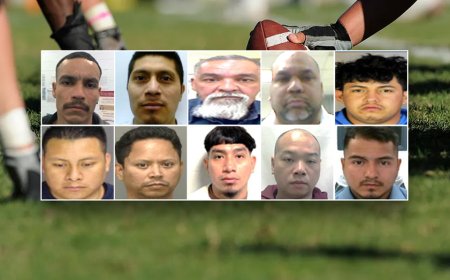 ICE nabs convicted pedophiles and murderers over weekend despite smears at Super Bowl: 'Risking their lives'