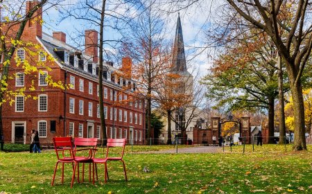 Harvard faculty committee suggests capping A's in proposed internal ranking system