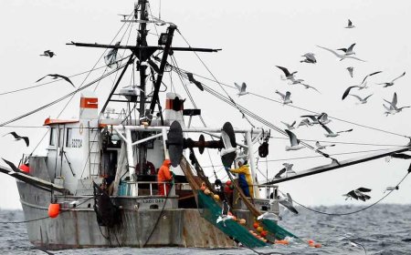 American seafood is national security — and Washington is failing fishermen