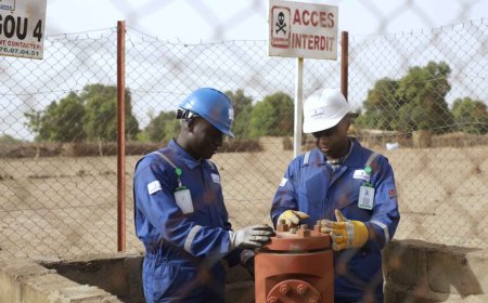 It does not come from the mantle. It comes from the crust. The twist that dismantles the myth of “magic” hydrogen