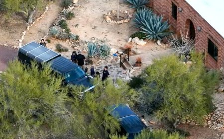 Former FBI agent 'stunned' by unforgiving conditions complicating Nancy Guthrie search