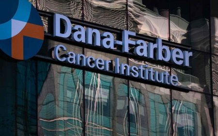 A scientific “detective” from the United Kingdom has uncovered manipulated images in articles financed with public funds, and the United States is already recovering millions of dollars