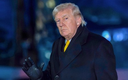 National Governors Association reportedly cancels meeting with Trump after White House snubs Democrats