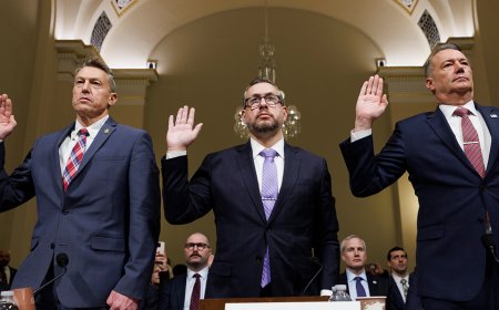 Dem rep labels federal immigration agents 'thugs' in tense hearing