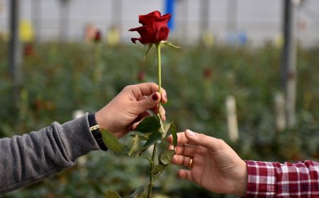 Fox News Poll: Beyond red vs. blue, finding me + you across the political divide