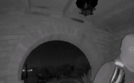 What the timing of the FBI’s image release suggests in the Nancy Guthrie case: crime insider