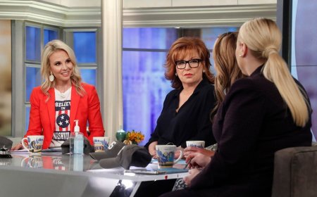 'The View' fans brace themselves for return of guest conservative host Elisabeth Hasselbeck