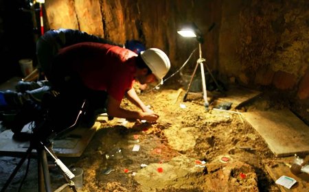 270,000 seashells found in a 5,000-year-old female grave reveal what female power was like in the Copper Age, leaving scientists speechless