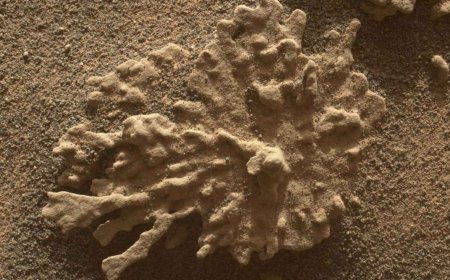 The mission to bring Earth’s most valuable rocks from Mars is considered a failure, and now China could get there first with a return in 2031