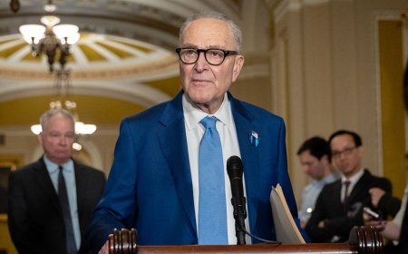 Schumer, Dems choose partial shutdown as negotiations hit impasse
