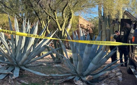 Nancy Guthrie case: All of the properties searched by authorities since disappearance