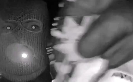 SEE THE PHOTOS: Armed Man at Nancy's Guthrie's Home